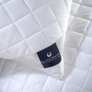 Billerbeck Chantal pillow - small 36x48 cm