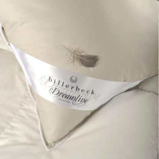 Billerbeck Meyrin pillow - medium 50x70 cm