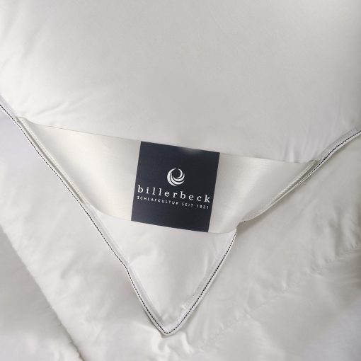 Billerbeck Diana pillow - medium 50x70 cm