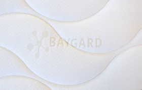 Baygard cover